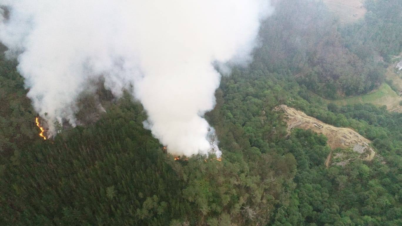 Continúa activo el incendio en el pinar de Pendia, en Boal