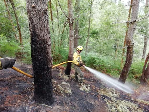 Controlado el incendio forestal que arrasó un pinar en Boal