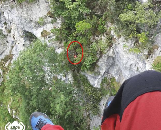 Rescatan a un montañero que se despeñó treinta metros en la ruta del Cares y pasó tres horas colgado de un árbol