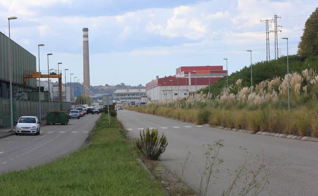 Choca con una farola y vuelca al intentar expulsar una avispa del interior de su vehículo en Avilés