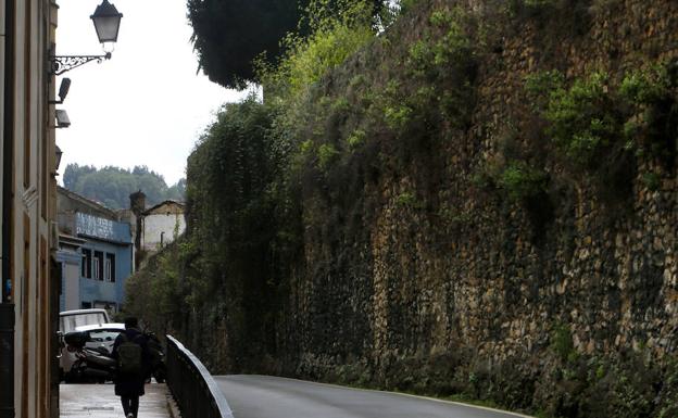 Un Bosque Cubre La Muralla Medieval De Oviedo El Comercio