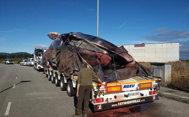 La ballena muerta en Tapia llevaba mucho tiempo sin comer