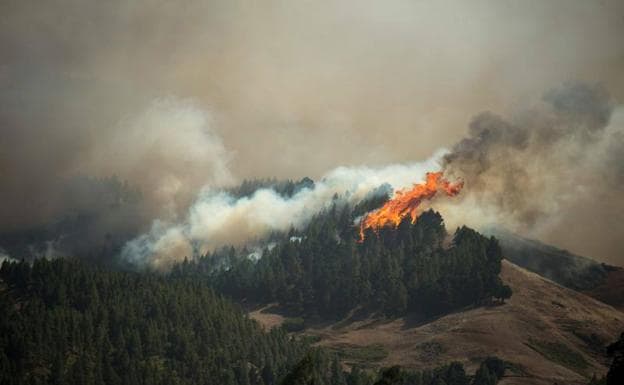 Desolación en Gran Canaria: 9.000 evacuados por un incendio «imparable»