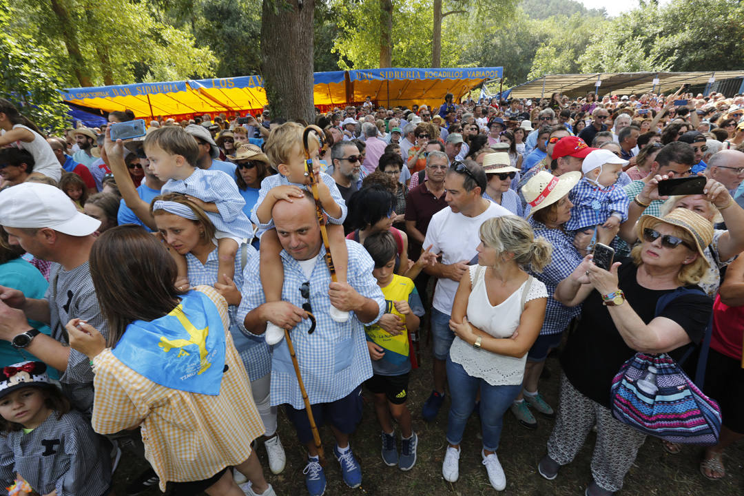 Multitudinario San Timoteo