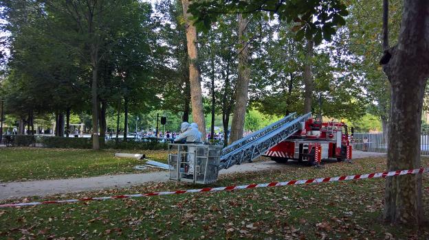 «Tenemos que acostumbrarnos a convivir con la avispa asiática»