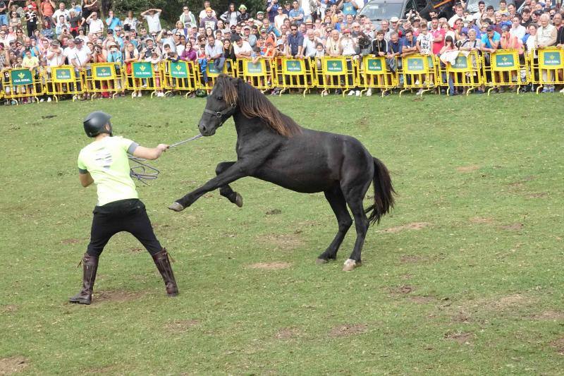 Fiesta del Asturcón en la majada de Espineres, en Piloña
