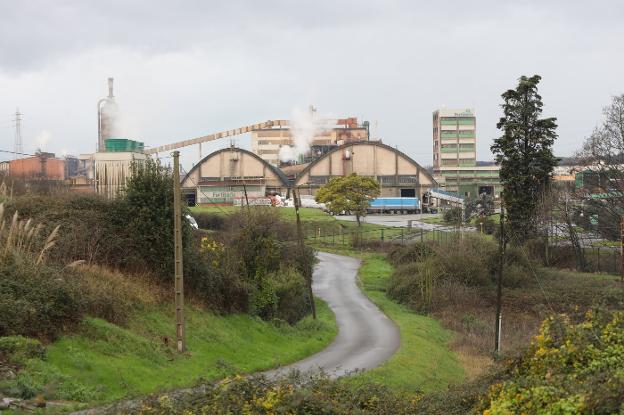 La caída de un árbol deja diez minutos sin electricidad a Fertiberia y Dupont