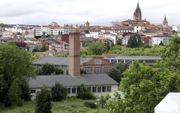 El PSOE pide que no se «pierda» la ocasión» para la compra de La Vega