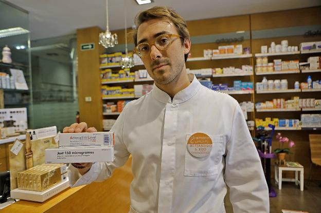 Las cosas que debes saber sobre la avispa asiática