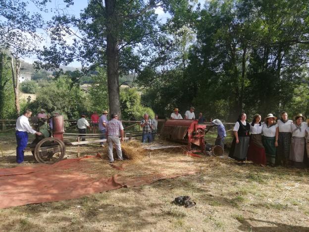 La recreación de la 'malla do trigo' reúne a 250 personas en San Tirso de Abres