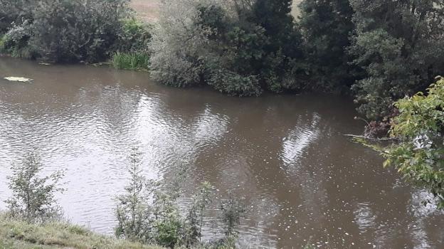 Alerta en el río Eo tras romper una tubería de un foso de purines