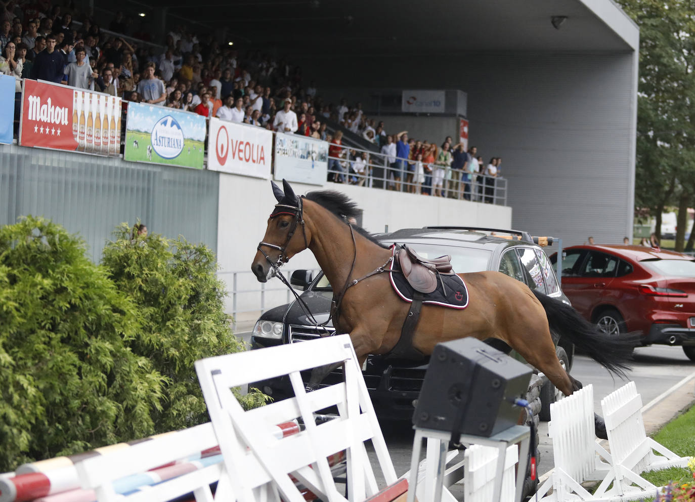 La amazona Laura Roquet cae del caballo en el CSIO Gijón