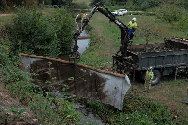 Disminuye la contaminación por vertidos de purines de ganado en la ría del Eo