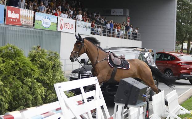 Susto en el Hípico de Gijón tras chocar un caballo contra un vehículo