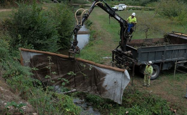 Reabierta a la captura de moluscos la ría del Eo tras el vertido de purines