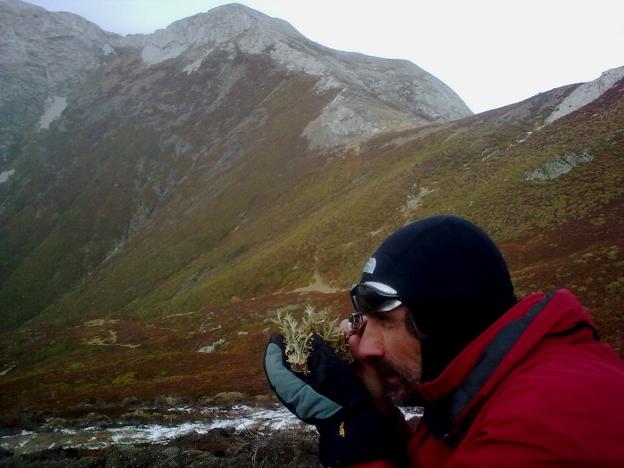 «El cambio climático está modificando la distribución geográfica de varias especies»