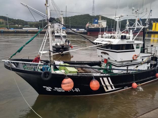 La última subasta de bonito en Avilés se celebrará el lunes
