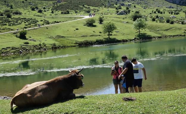 Diez rutas con niños en Asturias que no te puedes perder