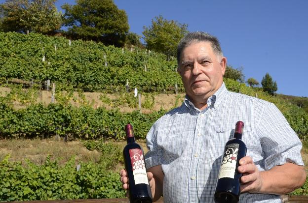 Cangas se convertirá en junio en la capital del vino atlántico