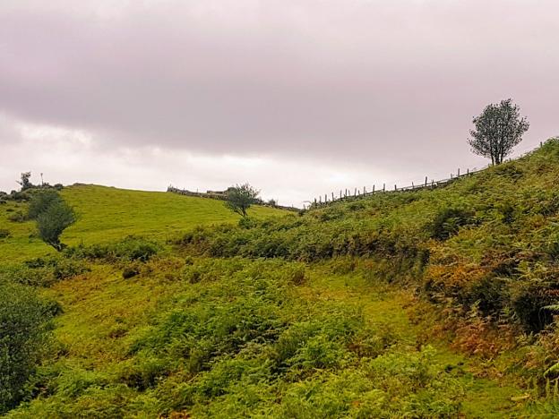 Sobrescobio pone en marcha un plan para recuperar zonas degradadas