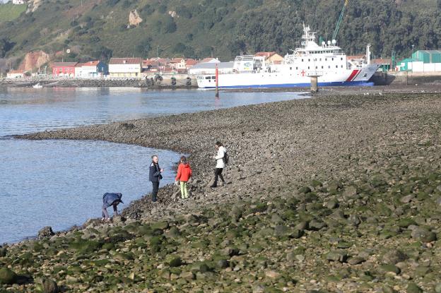 Mavea propone ampliar el monumento natural de Zeluán hacia el astillero