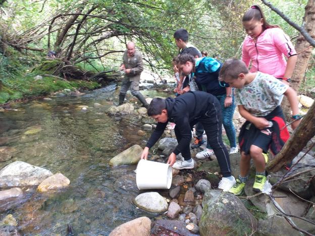 20.000 nuevos alevines de salmón para el río Somiedo