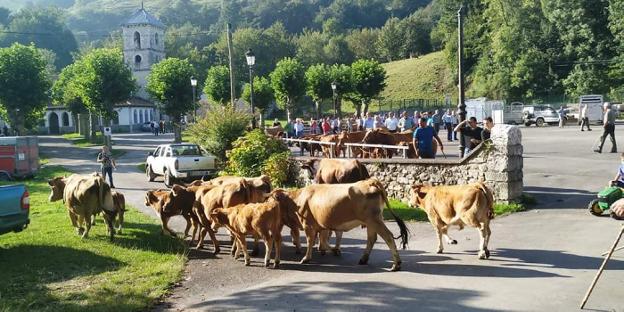 Benia celebra la feria ganadera de San Mateo