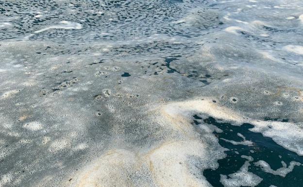 Las últimas manchas de la mar eran «algas en descomposición»