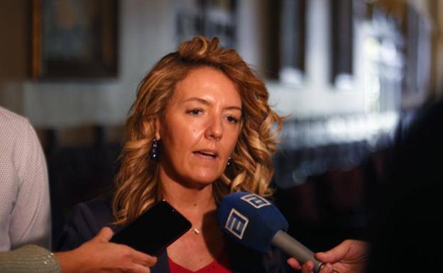 Mallada insta a Barbón a reclamar más inversiones en energías renovables