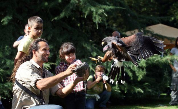 El Botánico centraliza las celebraciones del Día de las Aves
