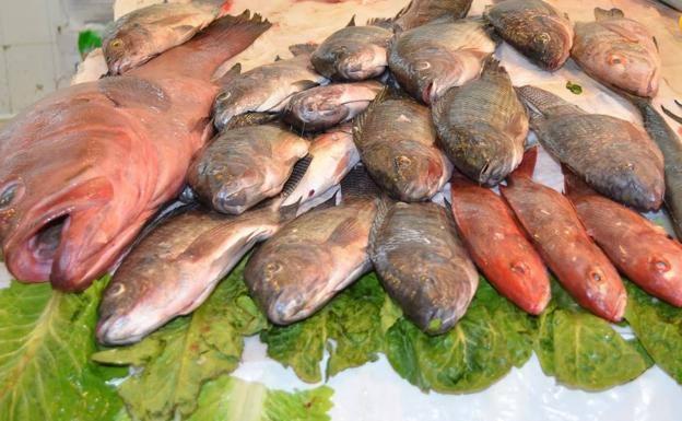 Ciguatera: aumenta en Europa una intoxicación relacionada con el consumo de pescado