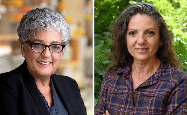 Premio Princesa de Asturias de Investigación Científica y Técnica 2019 | Joanne Chory y Sandra Myrna Díaz, luchadoras contra el cambio climático