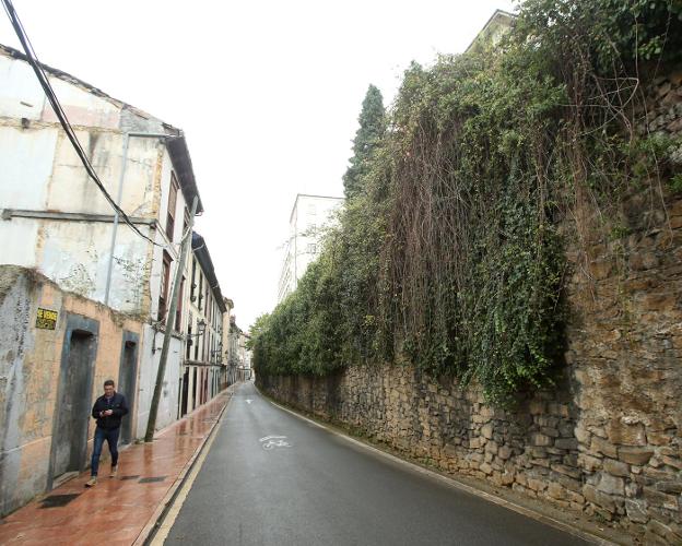 «Hay que ir con cuidado porque la maleza de la muralla puede estar muy incrustada»