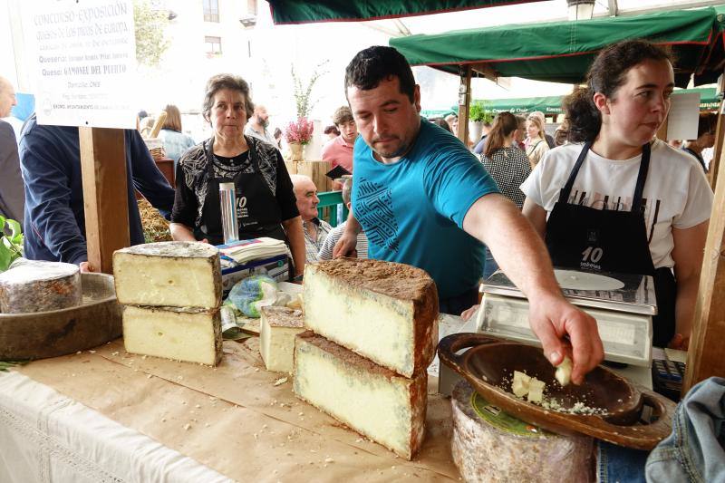 Certamen del queso en Cangas y feria de la miel