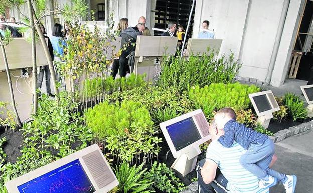 El jardín de las sensaciones