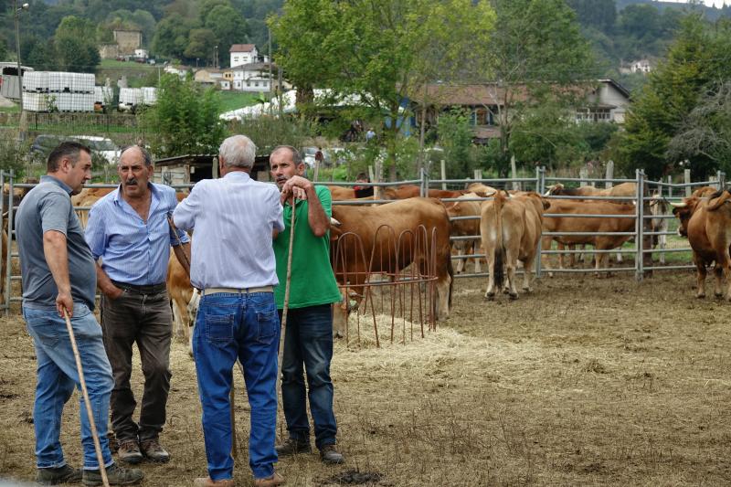 Gran ambiente en la feria de Santa Teresa de Infiesto