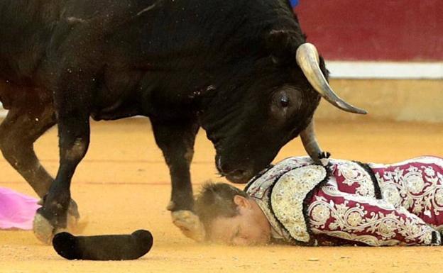 Preocupación por el estado del banderillero Mariano de la Viña tras sufrir una cornada