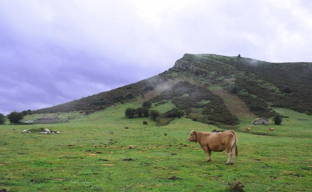 Ruta de las Brañas de Vicenturo - Cueiro