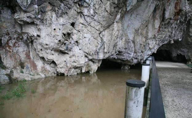 La cueva de Tito Bustillo, cerrada a causa de las lluvias