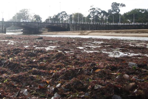 Crean una Comisión del Litoral, técnica y sin grupos políticos ni sociedad civil