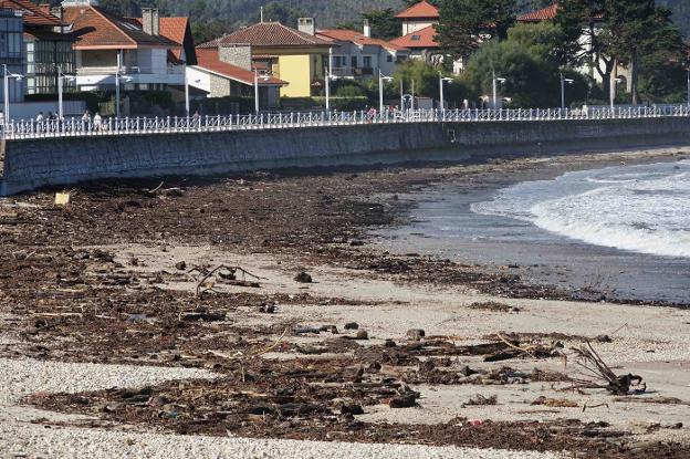 Marea de residuos tras las riadas