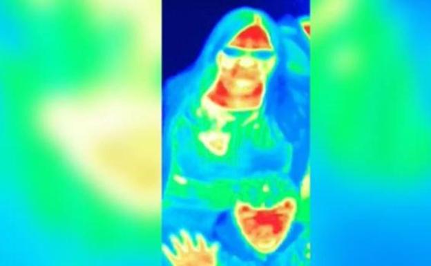 Así es como descubrió una mujer que tenía cáncer de mama gracias a una atracción turística