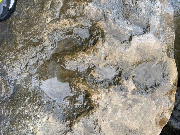 Hallan dos nuevas icnitas en la playa de Merón