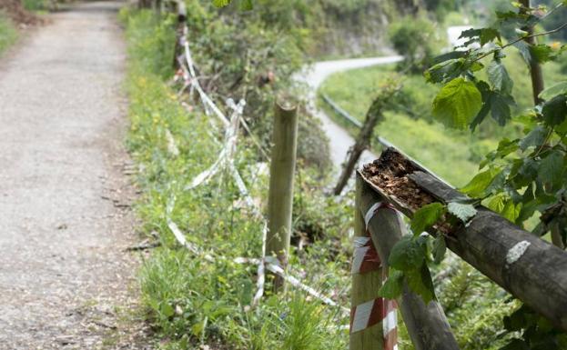 El Principado convocará en próximos días a los ayuntamientos para abordar el mantenimiento de la Senda del Oso