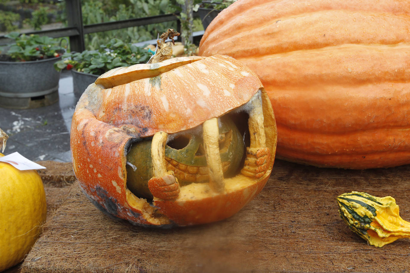 Las mejores creaciones en naranja