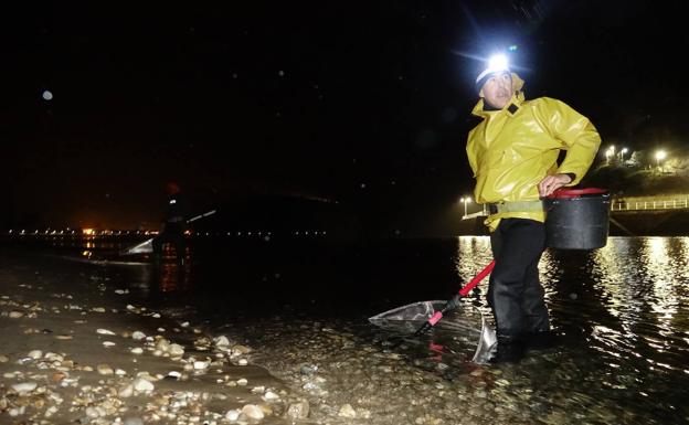 Regresa la fiebre del 'oro blanco'