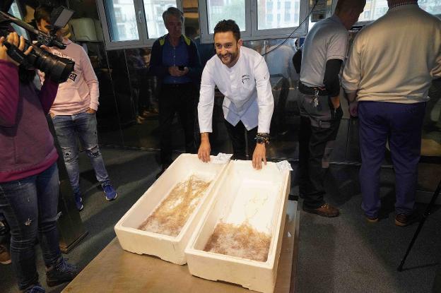 La primera angula, a 6.260 euros