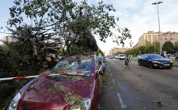 Temporal en Asturias | 'Amelie' deja un vendaval de destrozos en Asturias