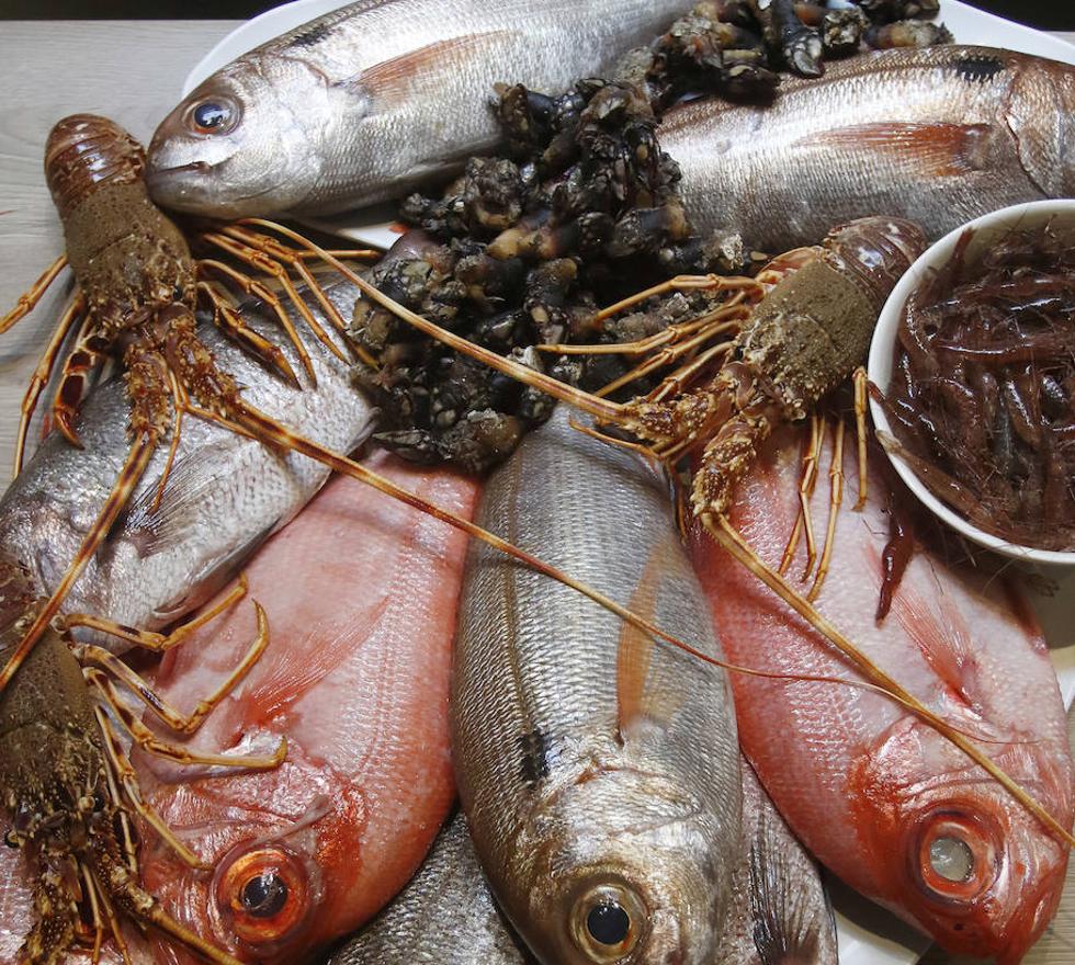 Los mejores pescados en los meses fríos