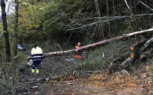 Retiran un argayu de la carretera a Gamonéu, en Cangas de Onís